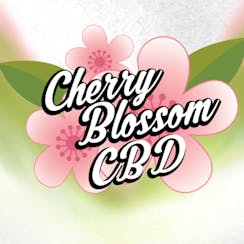 Cherry Blossom CBD logo